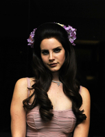 Lana Del Rey hoodie #892452