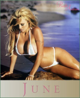 Pamela Anderson Poster G46708