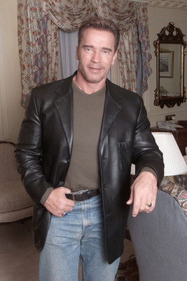 Arnold Schwarzenegger Poster G472025
