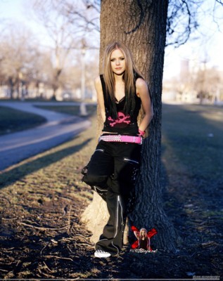 Avril Lavigne Stickers G47730