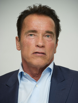 Arnold Schwarzenegger puzzle G497148