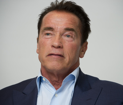 Arnold Schwarzenegger Stickers G497153