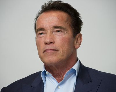 Arnold Schwarzenegger puzzle G497154