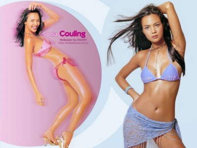 Sonia Couling Stickers G5082