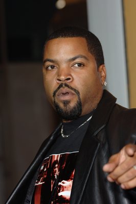 Ice Cube Poster G520513