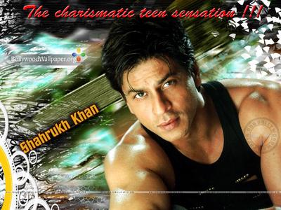 Shahrukh Khan Poster G523224