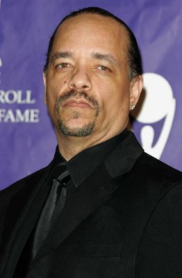 Ice-T Poster G523647