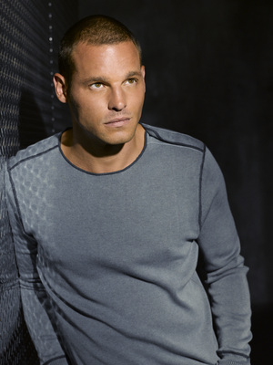 Justin Chambers puzzle G528985