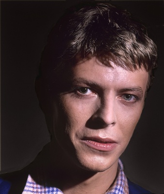 David Bowie puzzle G529541