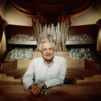 Frank Gehry wooden framed poster