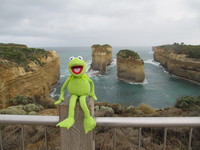 the Frog Kermit hoodie #959483
