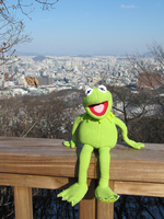 the Frog Kermit hoodie #959511