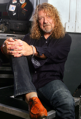 Robert Plant metal framed poster