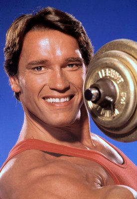 Arnold Schwarzenegger Poster G545975
