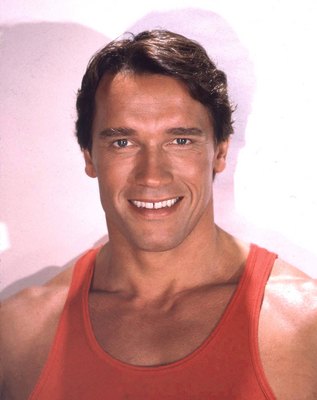Arnold Schwarzenegger Poster G545991