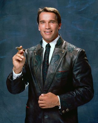 Arnold Schwarzenegger puzzle G545994