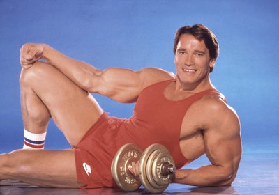 Arnold Schwarzenegger Poster G545996