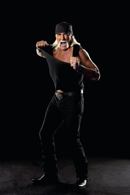Hulk Hogan Poster G546314