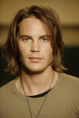 Taylor Kitsch puzzle G551199