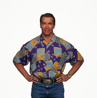 Arnold Schwarzenegger hoodie #982542