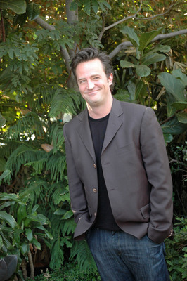 Matthew Perry puzzle G554716