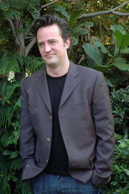 Matthew Perry puzzle G554735