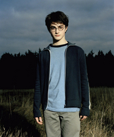 Daniel Radcliffe tote bag #G555731