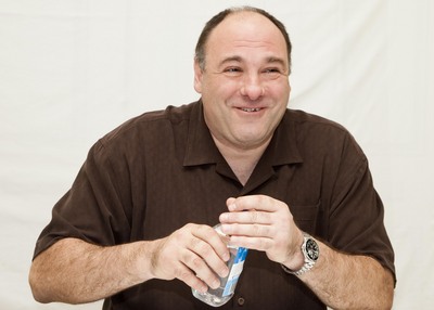 James Gandolfini puzzle G559075