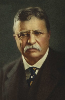 Theodore Roosevelt wood print