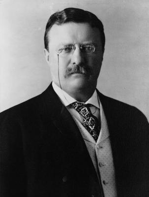 Theodore Roosevelt poster
