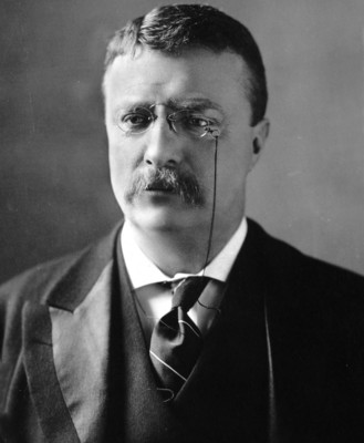 Theodore Roosevelt hoodie