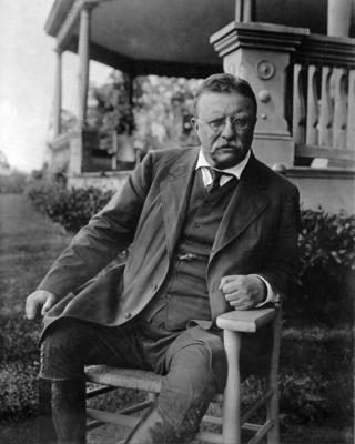 Theodore Roosevelt wood print