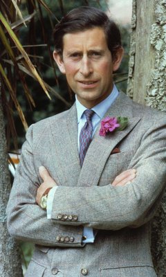 Prince Charles canvas poster