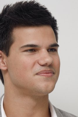 Taylor Lautner Stickers G593968