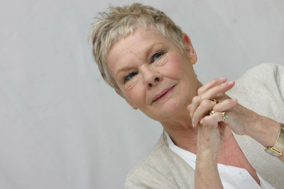 Judy Dench puzzle G613670