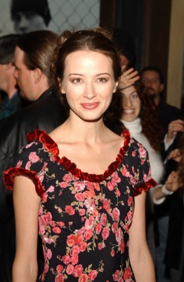 Amy Acker puzzle G62135