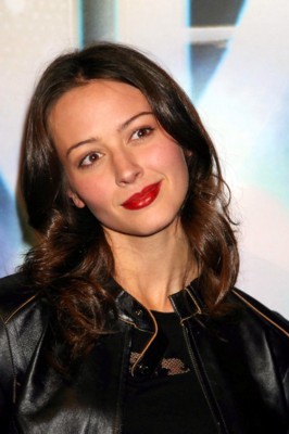 Amy Acker puzzle G62177