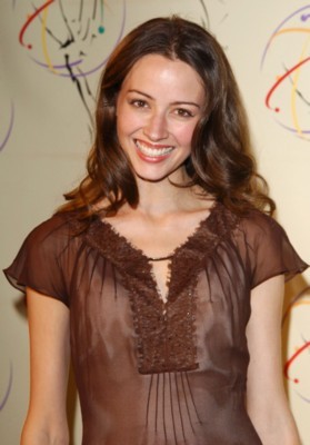 Amy Acker puzzle G62313