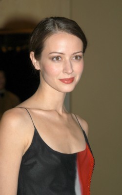 Amy Acker puzzle G62316