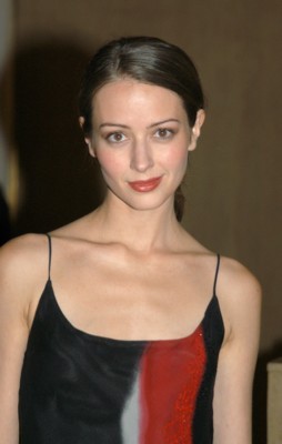Amy Acker Poster G62319
