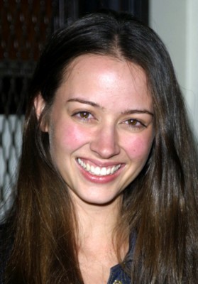 Amy Acker puzzle G62332