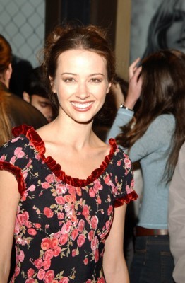 Amy Acker puzzle G62344