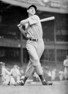 Ted Williams Poster G633675