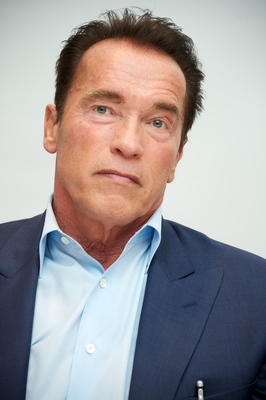 Arnold Schwarzenegger puzzle G634523