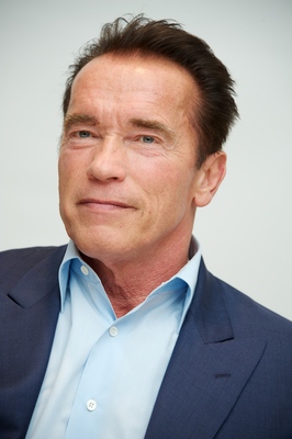 Arnold Schwarzenegger puzzle G634533