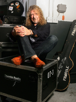 Robert Plant Poster G666821