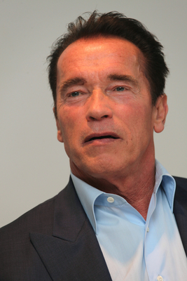 Arnold Schwarzenegger mug #G668703