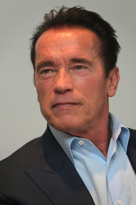Arnold Schwarzenegger puzzle G668705