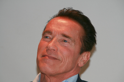 Arnold Schwarzenegger puzzle G668715