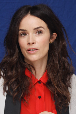 Abigail Spencer canvas poster